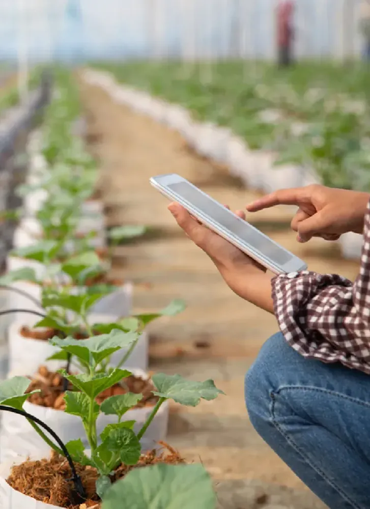 La agricultura entra en la era de los sistemas conectados: cinco tecnologías que están transformando el campo